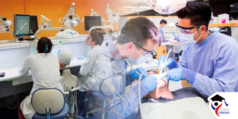 راحت ترین کشور برای تحصیل دندانپزشکی